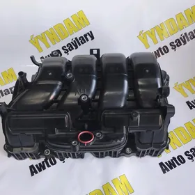 Motor Pauk Sienna 2021