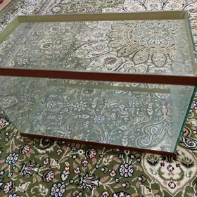 Akwaryum