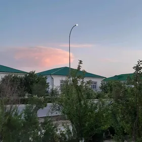 Taze zaman ️ тазе заман