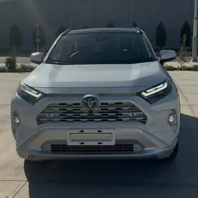 Toyota RAV4 2025