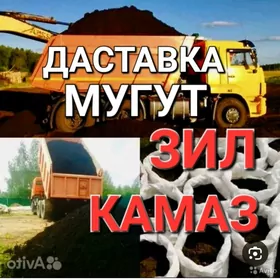 DERS GUM MITI TOPRAK CÃGE ДЕРС