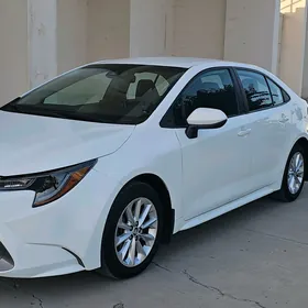 Toyota Corolla 2021