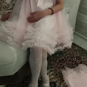 вечерний койнек