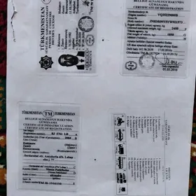 тех поспорт права йитти
