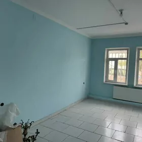 пединститут подвал