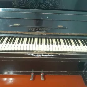 pionyno