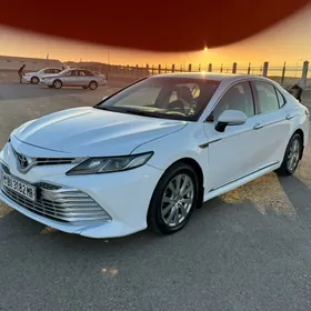 Toyota Camry 2019