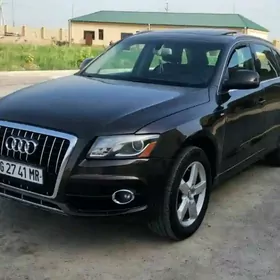 Audi Q5 2010