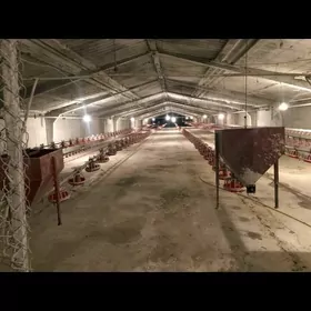 Недвижимость