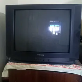 telewizer