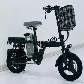 tokly tigir 14 lik