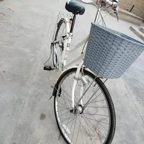 welik 27