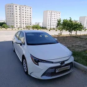 Toyota Corolla 2021