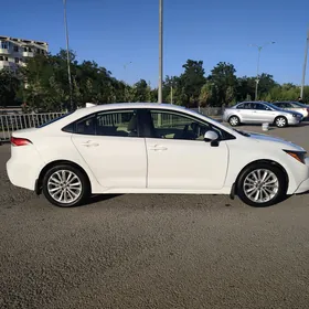 Toyota Corolla 2020
