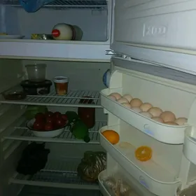 haladelnik