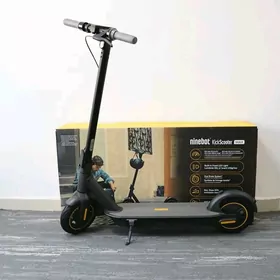 ninebot max g30p