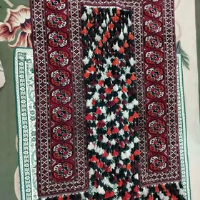 el haly gapylyk