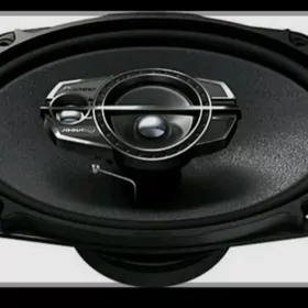 pioneer nikil