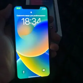iPhone X