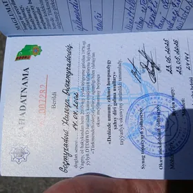 zahmet depderçe tapdym
