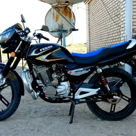 Fekon FK150-8G 2013