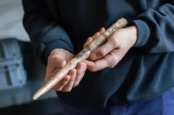 Ýewropada kitleriň süňkünden ýasalan iň gadymy gurallar tapyldy. Awçylar olary 20 müň ýyl ozal ulanypdyrlar
