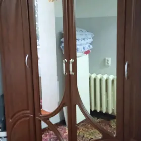 шфанер