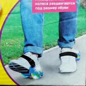 ролики