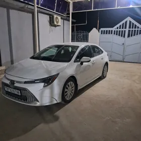 Toyota Corolla 2021