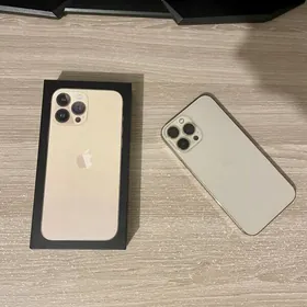 iPhone 13 pro