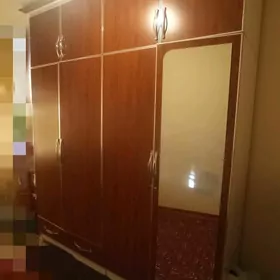 шфанер