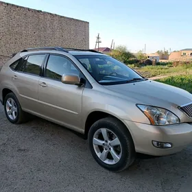 Lexus RX 330 2005
