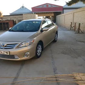 Toyota Corolla 2011