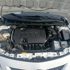 Toyota Corolla 2009