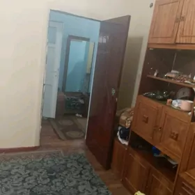 Arenda kosi plan