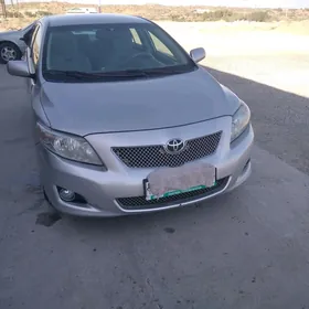 Toyota Corolla 2010