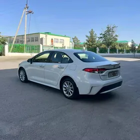 Toyota Corolla 2020