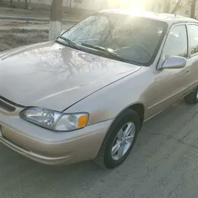 Toyota Corolla 2000