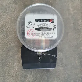 Elektrik sýotçik