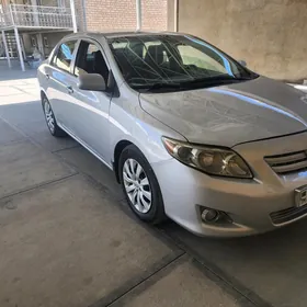 Toyota Corolla 2009