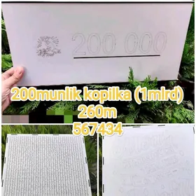 200munlik sanly kopilka