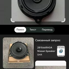 Wersa gapy kalonka