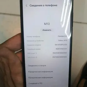 M 13