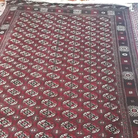 el haly teke göl