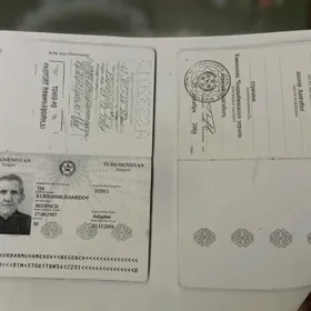 pasport yitdi