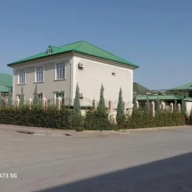 anew kotej elitka abmen etjek