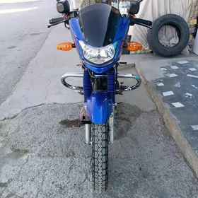 Fekon FK150-8G 2013