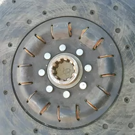 Maz zapchas onki torsion