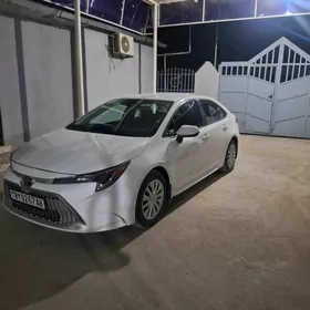 Toyota Corolla 2021