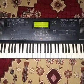 Korg